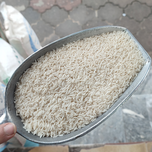 برنج زرددم اشرافی آستانه اشرفیه(5کیلویی)