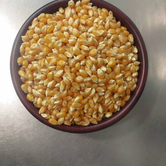 ذرت ( پفیلا)