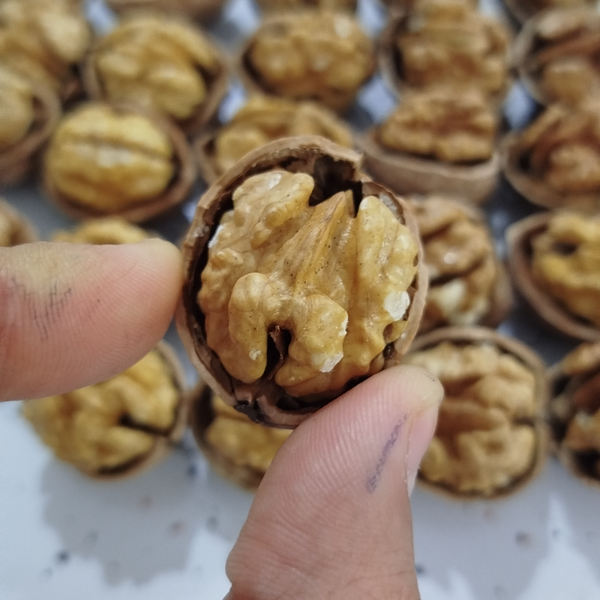 گردو باپوست ایرانی،بسته یک کیلویی،تازه و خوش طعم