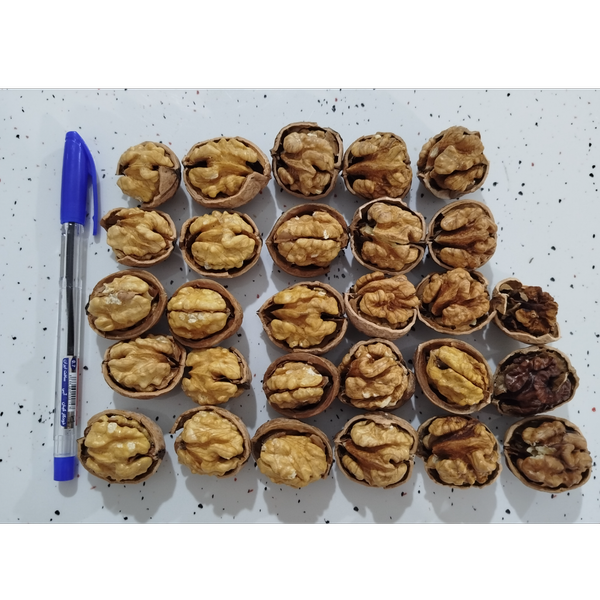 گردو باپوست ایرانی،بسته یک کیلویی،تازه و خوش طعم