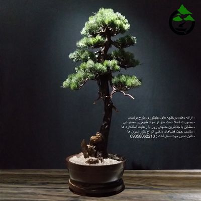 درختچه نیمه مصنوعی کاج طرح بونسای 2-1