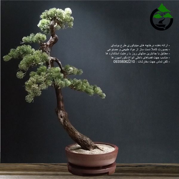 درختچه نیمه مصنوعی کاج طرح بونسای 1-1