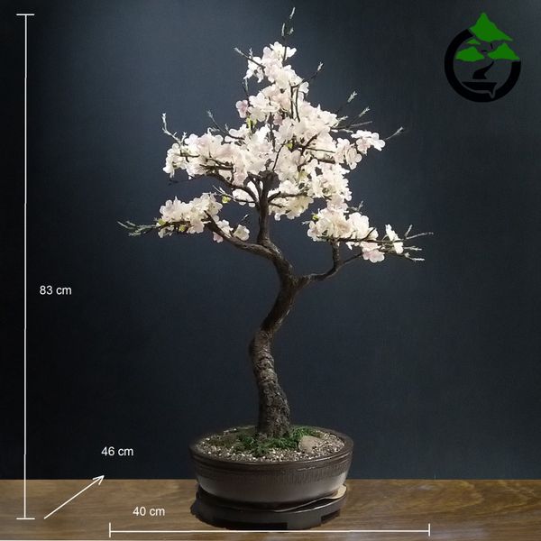 درختچه نیمه مصنوعی شکوفه سیب طرح بونسای 2-1
