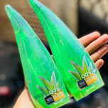 ژل آبرسان 99درصد شاخکی اله ورا