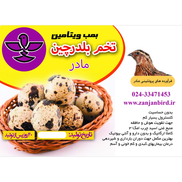 تخم بلدرچین بسته 12 عددی