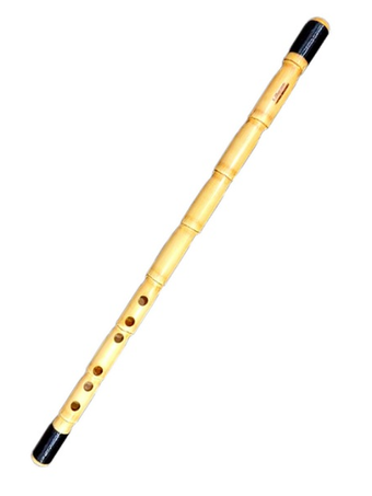 نی عربی کوک ر