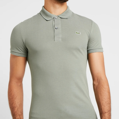 پلوشرت لاگوست طوسی