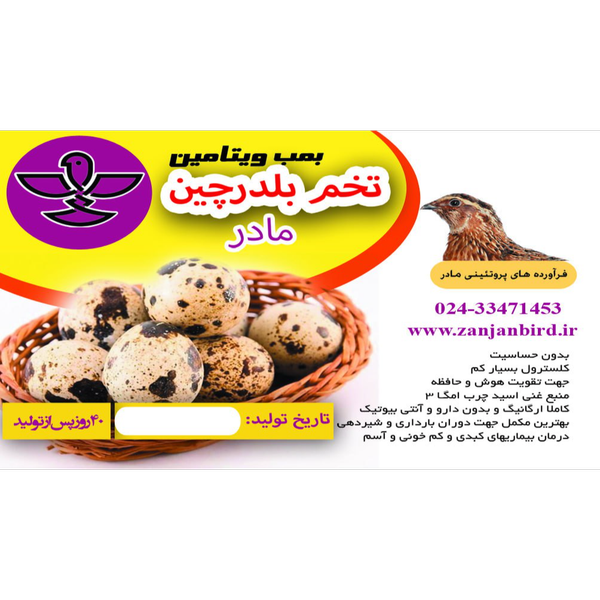 تخم بلدرچین عمده فروشگاهی ( 10 بسته)
