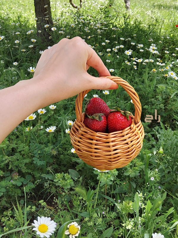 سبد نقلی استودیو راح