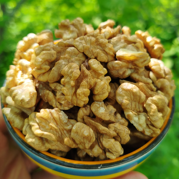 مغز گردو سفید روزشکن ایرانی،بسته یک کیلویی،تازه و خوش طعم،کیفیت تضمینی