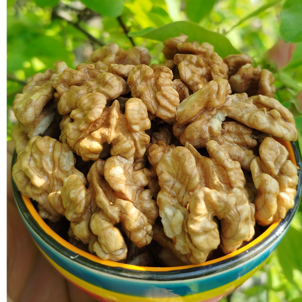 مغز گردو سفید روزشکن ایرانی،بسته500گرمی،تازه و خوش طعم،کیفیت تضمینی