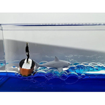 آکواریوم کوسه