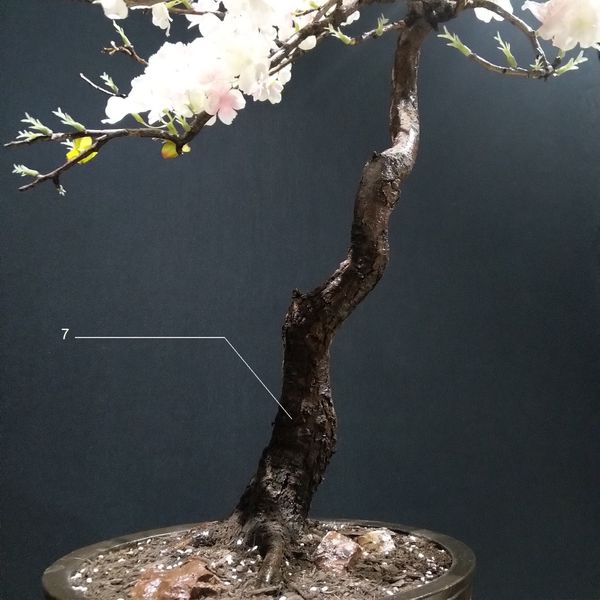 درختچه نیمه مصنوعی شکوفه سیب طرح بونسای 1-1