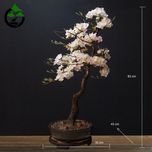 درختچه نیمه مصنوعی شکوفه سیب طرح بونسای 1-1