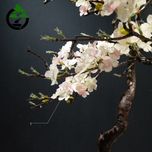 درختچه نیمه مصنوعی شکوفه سیب طرح بونسای 1-1