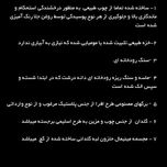 درختچه نیمه مصنوعی افرا پاییزی طرح بونسای1-1