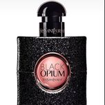 عطر ادکلن ایو سن لورن بلک اپیوم - Yves Saint Laurent Black opium