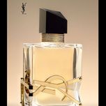 عطر ادکلن ایو سن لورن لیبره | YSL Libre