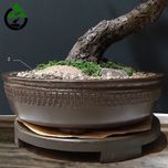 درختچه نیمه مصنوعی شکوفه سیب طرح بونسای 2-1