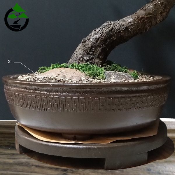 درختچه نیمه مصنوعی شکوفه سیب طرح بونسای 2-1