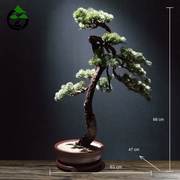 درختچه نیمه مصنوعی کاج طرح بونسای 1-1