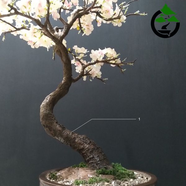 درختچه نیمه مصنوعی شکوفه سیب طرح بونسای 2-1