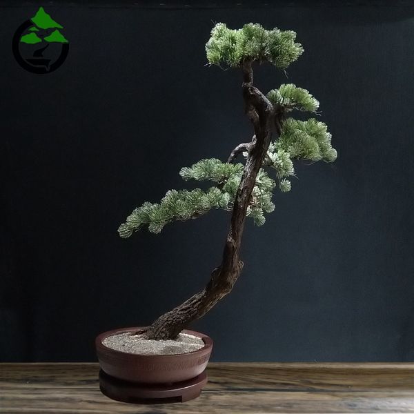 درختچه نیمه مصنوعی کاج طرح بونسای 1-1