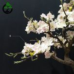درختچه نیمه مصنوعی شکوفه سیب طرح بونسای 2-1