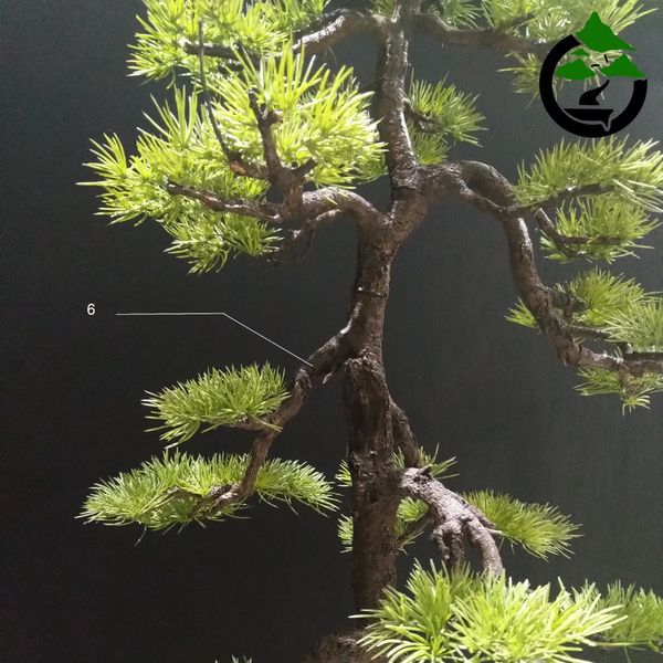 درختچه نیمه مصنوعی کاج طرح بونسای3-2