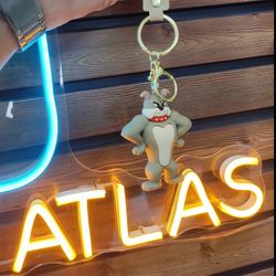 جاکلیدی طرح سک تام و جری