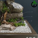 درختچه نیمه مصنوعی کاج طرح بونسای 2-2