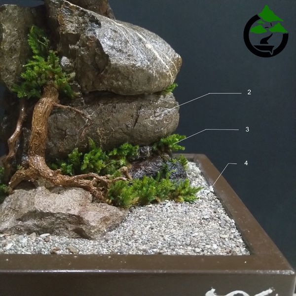 درختچه نیمه مصنوعی کاج طرح بونسای 2-2