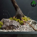 درختچه نیمه مصنوعی شکوفه گیلاس طرح بونسای 1-1