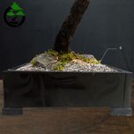 درختچه نیمه مصنوعی شکوفه گیلاس طرح بونسای 1-1