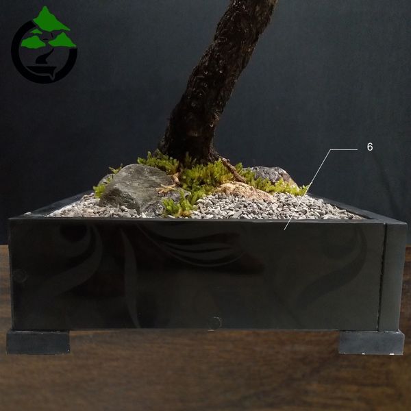 درختچه نیمه مصنوعی شکوفه گیلاس طرح بونسای 1-1