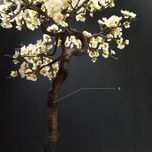 درختچه نیمه مصنوعی شکوفه گیلاس طرح بونسای 1-1