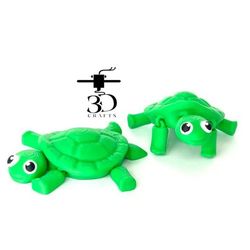 لاک پشت جیبی