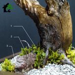 درختچه نیمه مصنوعی کاج طرح بونسای 4-2