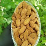 مغز بادام درختی دانه بلند ممتاز ایرانی،بسته500گرمی،ترد و خوش طعم،کیفیت تضمینی