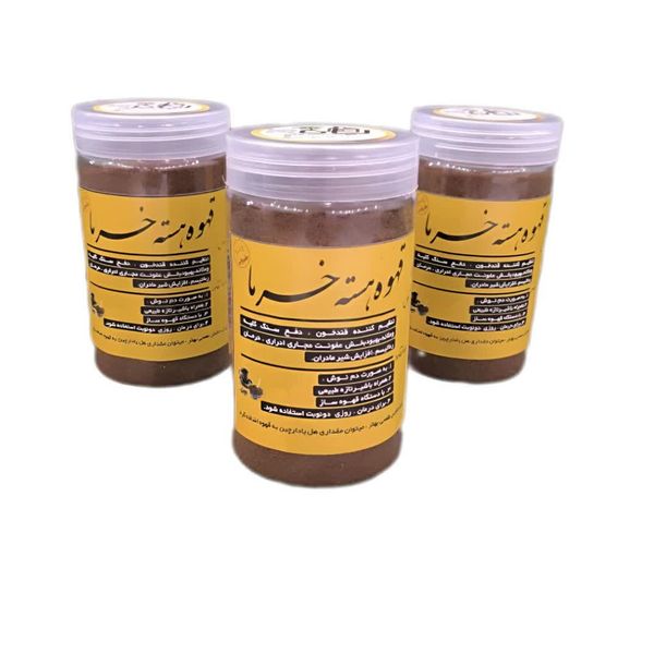 قهوه هسته خرما 350 گرمی «ویژه دستگاه اسپرسو»