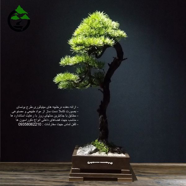 درختچه نیمه مصنوعی کاج طرح بونسای 1-2