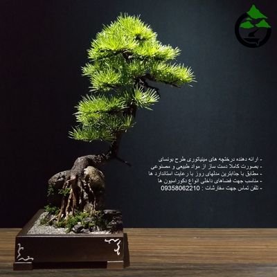 درختچه نیمه مصنوعی کاج طرح بونسای 2-2