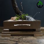 درختچه نیمه مصنوعی کاج طرح بونسای 1-2