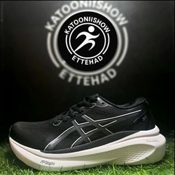 asics kayano30 coler1