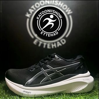asics kayano30 coler1