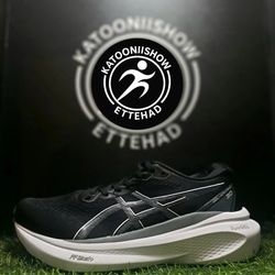 asics kayano30 coler2 man