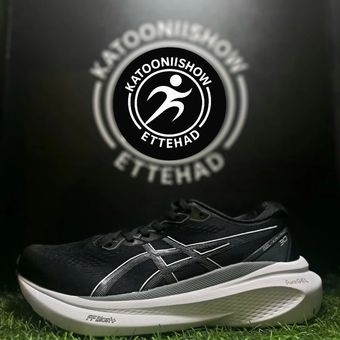 asics kayano30 coler2 man