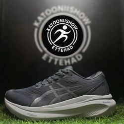 asics kayano30 coler3 man