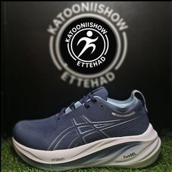 asics nimbus 26 coler2