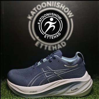 asics nimbus 26 coler2